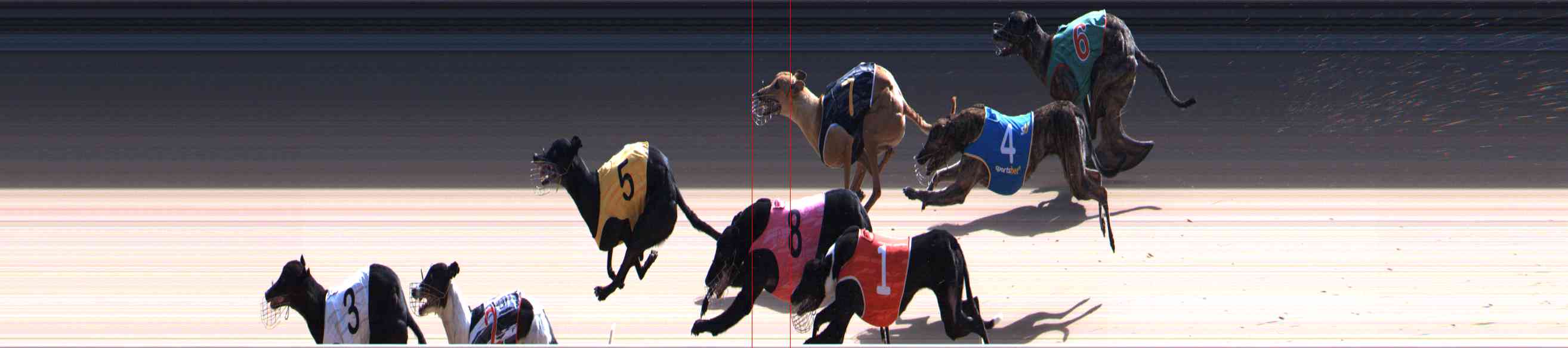 Race result finish photo